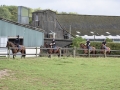 AroundRoundGallop2