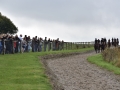 CrowdOnGallop