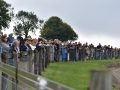 CrowdOnGallop3