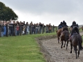 CrowdUpGallop2