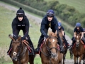 HarryBassUpGallop