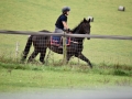 RideDownGallop