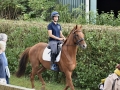 Stables10