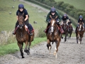 YoungstersGallop